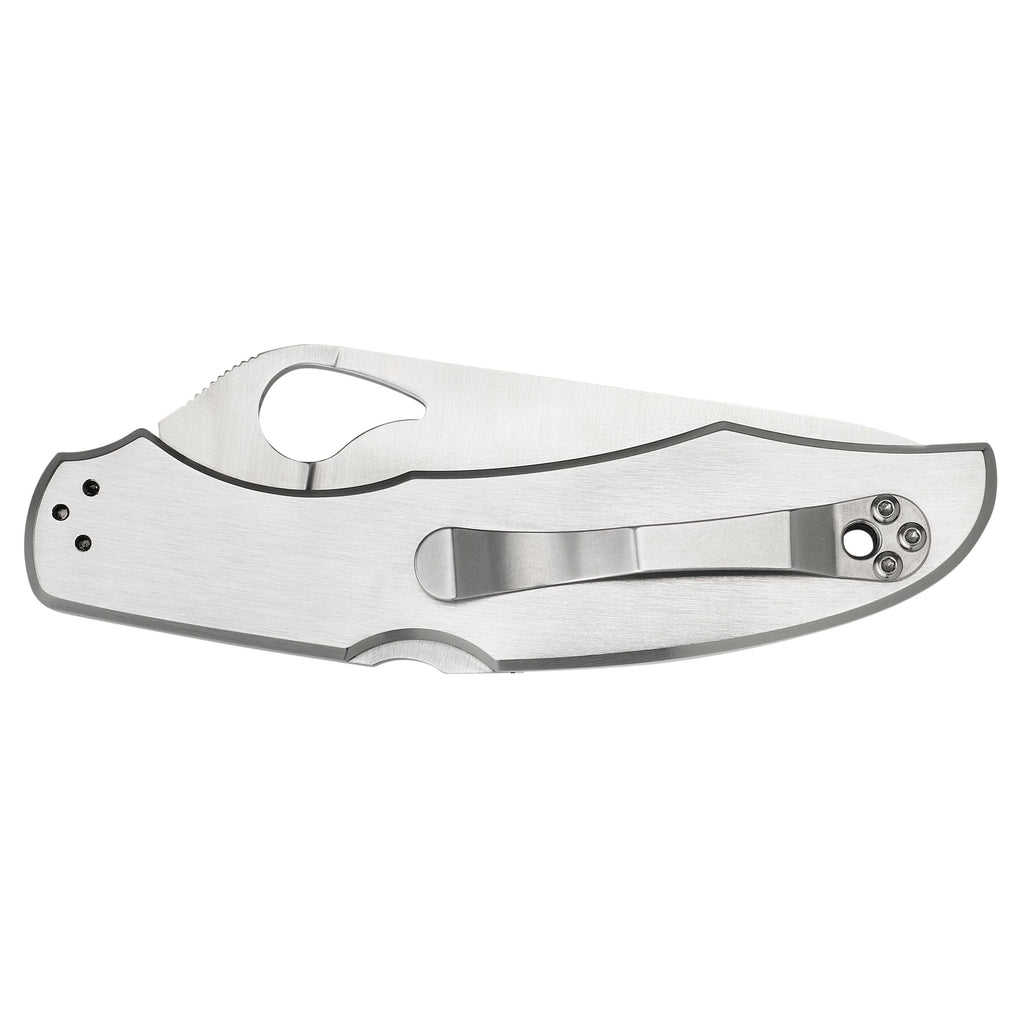 Spyderco Byrd Cara Cara 3.75-Inch Folding Knife with Combo Edge
