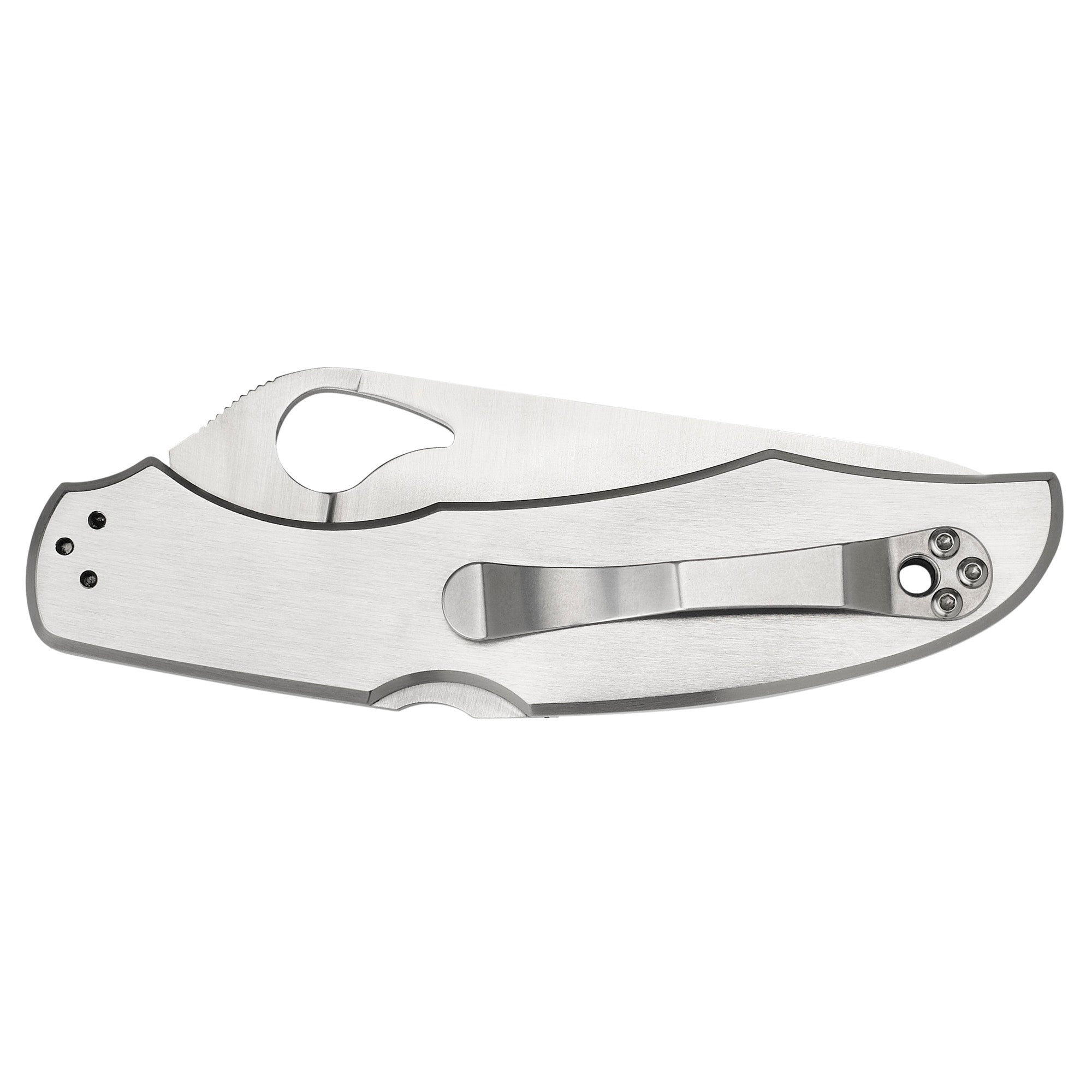 Spyderco Byrd Cara Cara 3.75-Inch Folding Knife with Combo Edge