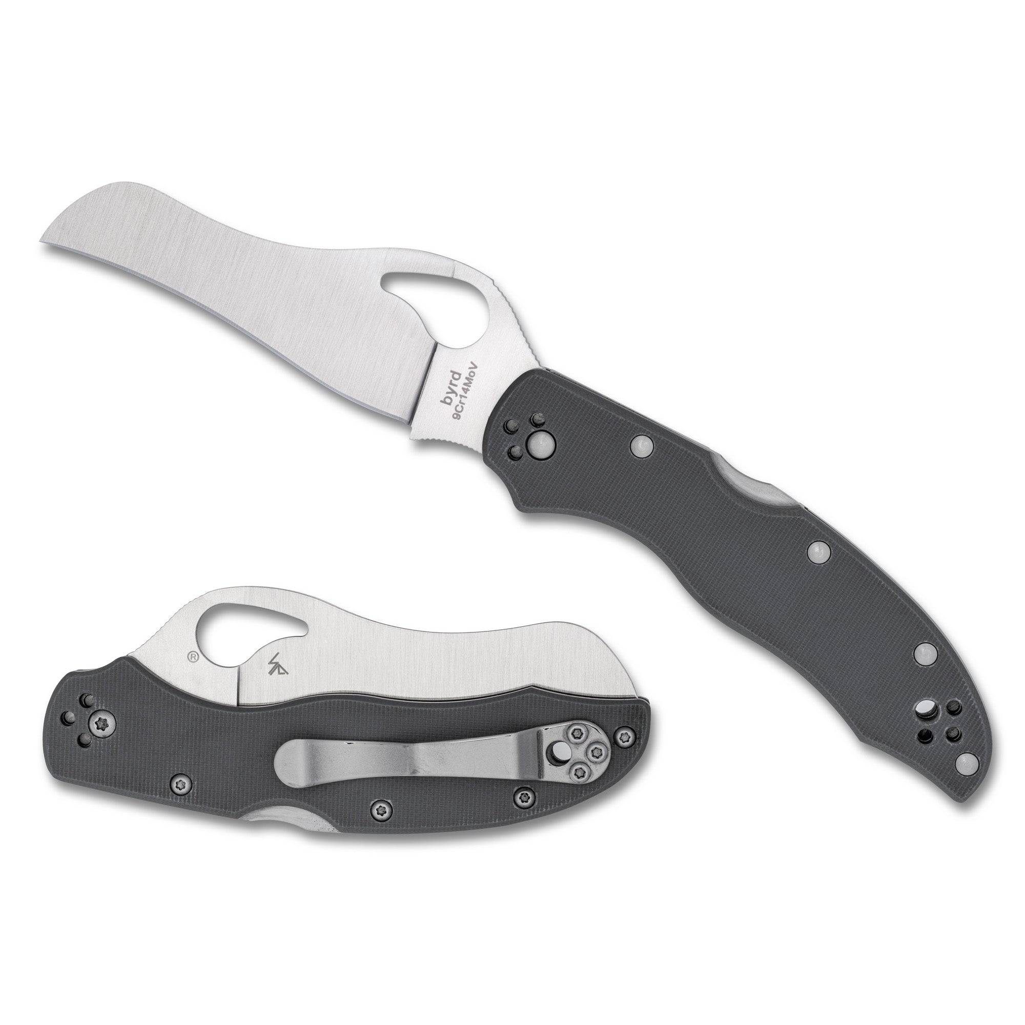 Spyderco Gooney Folding Knife - 3.46-Inch Plain Edge, Gray G-10 Handle