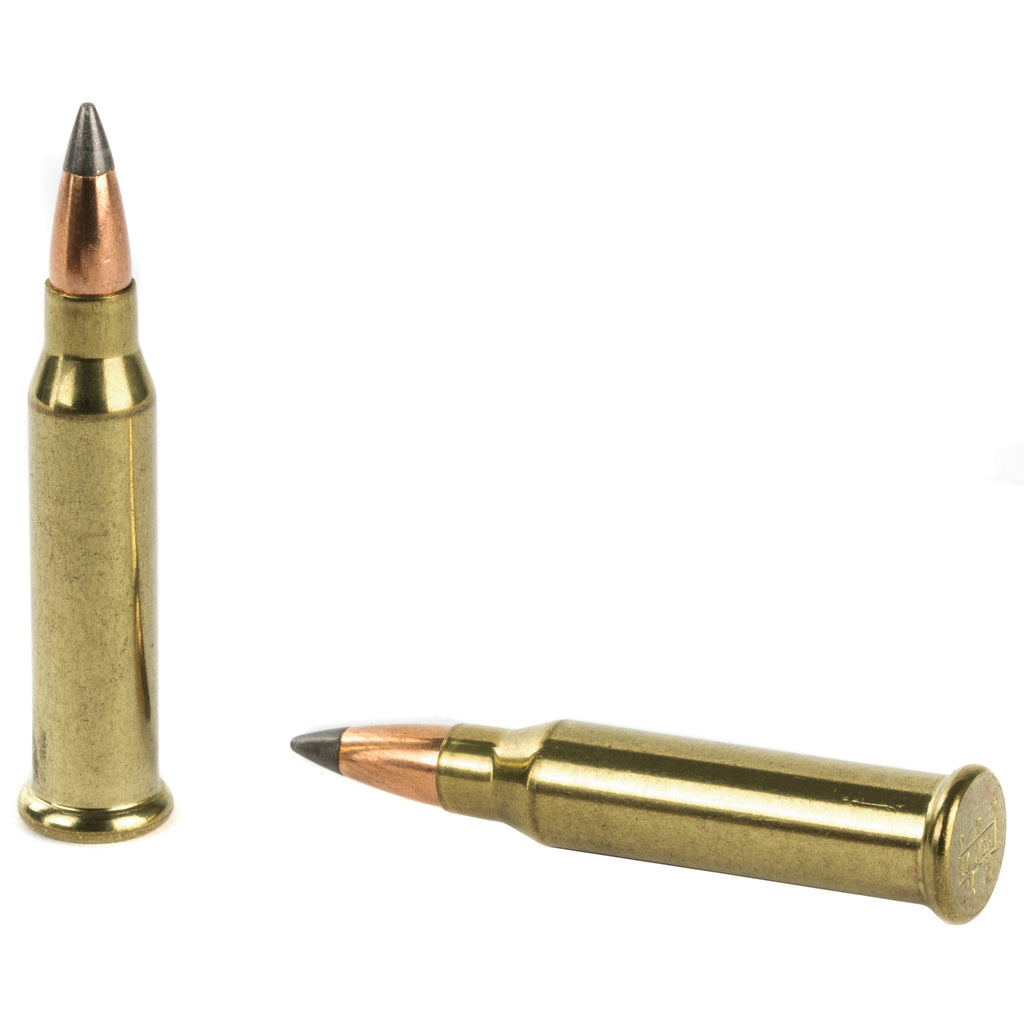 Winchester Ammunition Win Varmint HE 17 Winchester Super Magnum 25-Grain Polymer Tip, 50 Rounds per Box