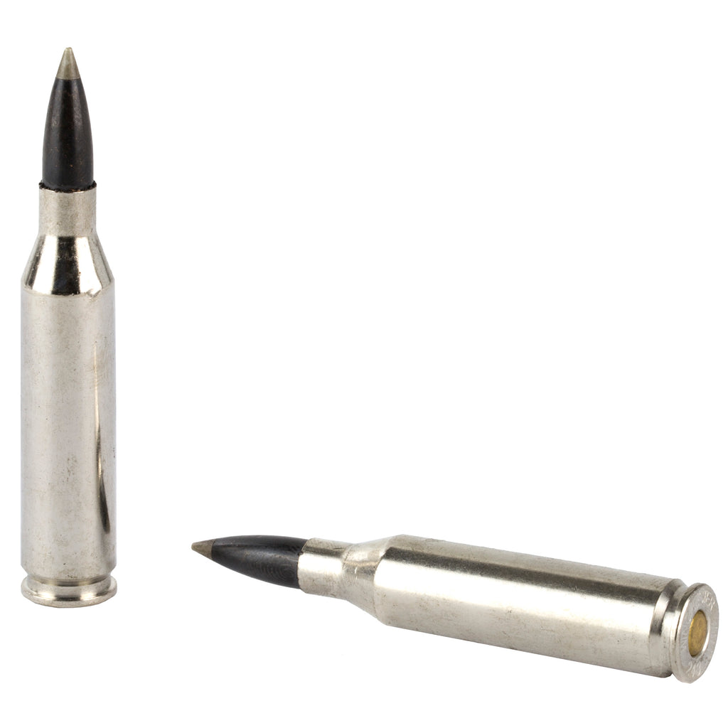 Winchester Ammunition Ballistic Silvertip .243 Winchester 95-Grain Polymer Tip Ammo - 20 Rounds