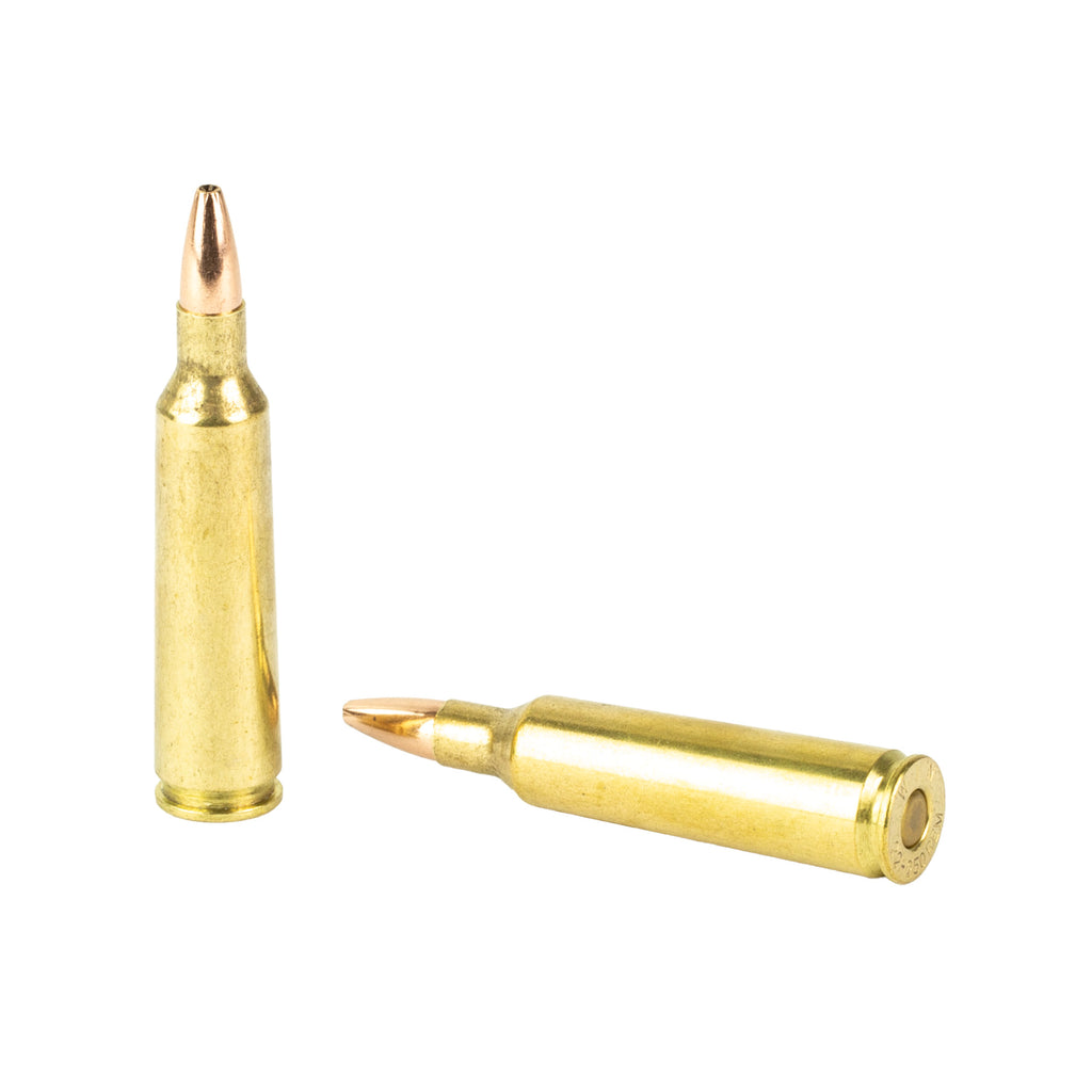 Winchester Ammunition USA 22-250 Remington Varmint 45-Grain Hollow Point - 40 Rounds per Box