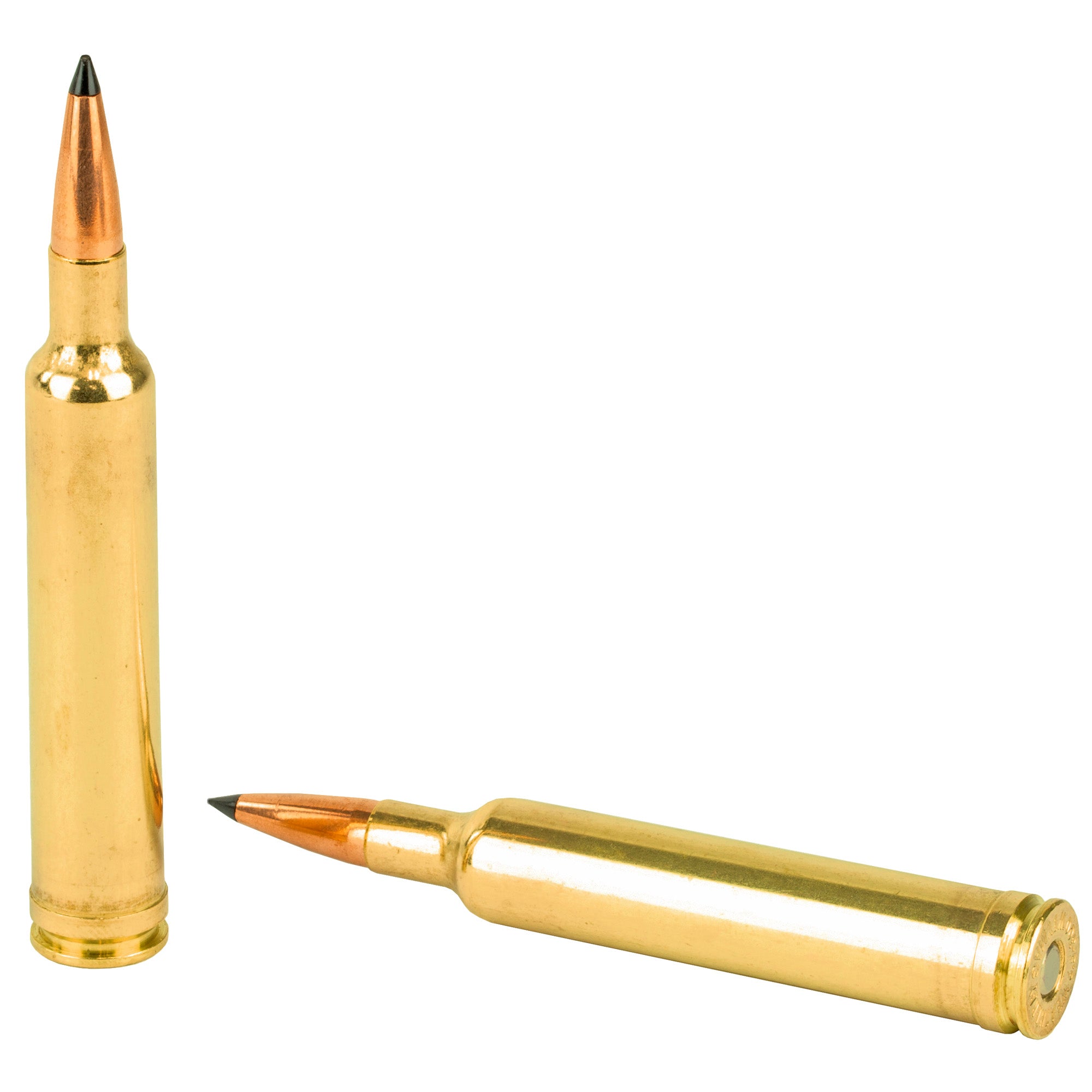 Weatherby Select Plus 6.5-300 Weatherby Magnum 130-Grain Ballistic Tip Ammunition (20 rounds per box)