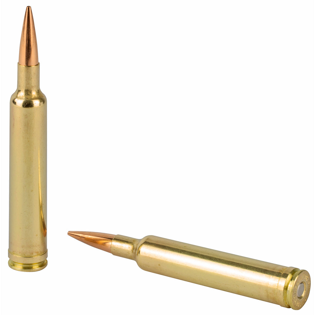 Weatherby Select Plus 6.5-300 Weatherby Magnum Elite Hunter Ammunition - 156 Grain, Box of 20