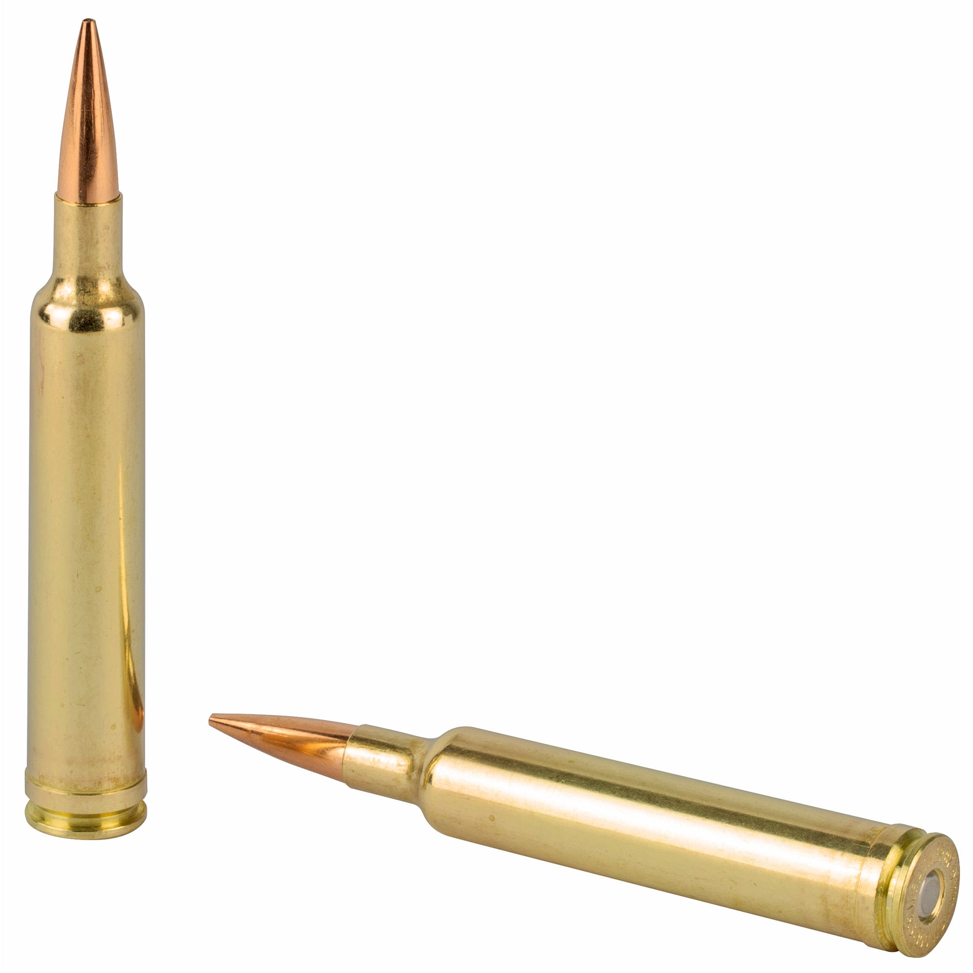 Weatherby Select Plus 6.5-300 Weatherby Magnum Elite Hunter Ammunition - 156 Grain, Box of 20