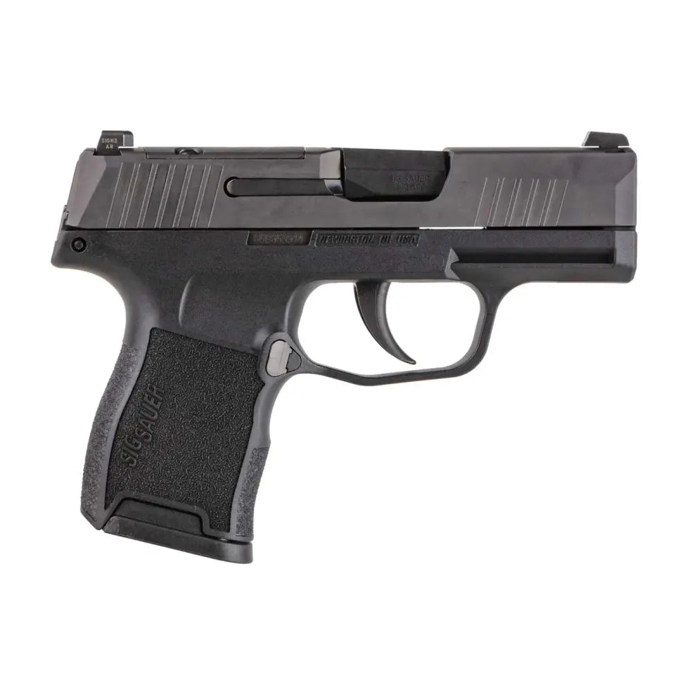 Sig Sauer P365 .380 ACP Micro-Compact Pistol with Night Sights and Two Magazines