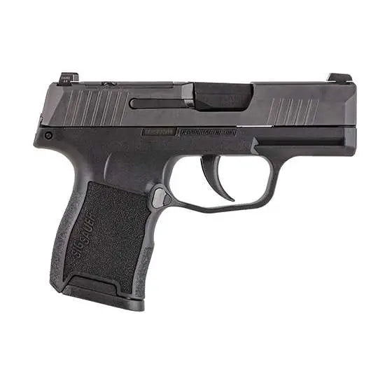 Sig Sauer P365 .380 ACP Micro-Compact Pistol with Night Sights and Two Magazines