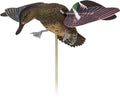 AVIAN X POWERFLIGHT SPINNING