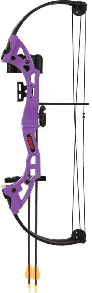 Bear Archery Youth Compound Bow (Part Number: AYS300PL) in Purple with Arrow Quiver and Finger Rollers