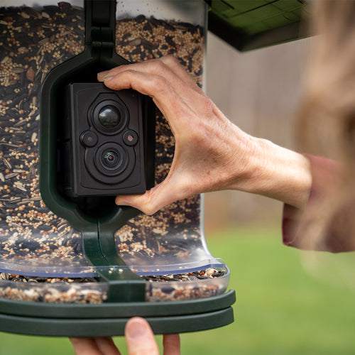FEATHERSNAP SCOUT BIRDFEEDER