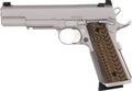 Dan Wesson Specialist .45 ACP Semi-Auto Handgun with Night Sights and Stainless Finish
