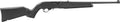 Ruger 10/22 .22LR Semi-Automatic Sporting Rifle with 18.5-inch Barrel and Polymer Stock