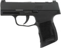 SIG Sauer P365 Micro Compact 380 Auto Pistol with Night Sights and Two Magazines