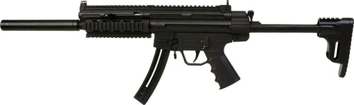 Blue Line Global G4160003 GSG 16 Carbine 22LR with Rail System and Synthetic Stock
