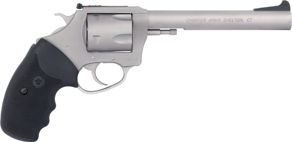 Charter Arms Pit Bull 9mm Stainless Steel Revolver with 6-Inch Barrel