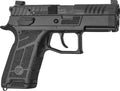 CZ-USA CZ P-09 C Nocturne OR 9mm FS Semi-Auto Pistol with 15-Round Magazines