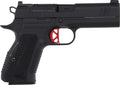 Dan Wesson DWX Compact 9mm Luger Semi-Auto Pistol with 4-Inch Barrel and 15-Round Magazines