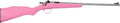 Crickett G2 .22 Long Rifle Sporting Rifle with Pink Synthetic Stock and Stainless Steel Finish