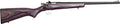Crickett Rifle G2 22LR with Purple Laminate Stock and Stainless Steel Finish