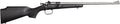 Crickett Rifle G2 .22LR Sport Shooting Rifle with Synthetic Stock and Stainless Steel Finish