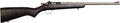 Crickett G2 .22LR Sporting Rifle with Black Laminate Stock and Stainless Steel Finish