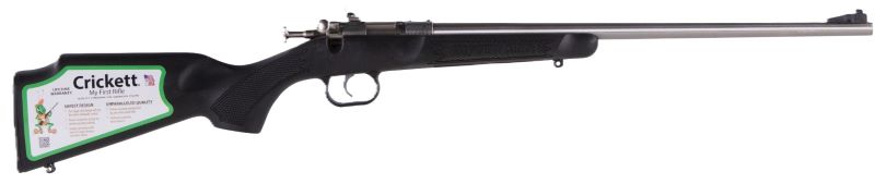 Crickett Rifle G2 in 22 WMR - Youth Sporting Bolt Action Rifle with Stainless Finish