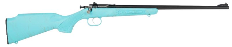 Crickett G2 .22LR Blue Sporting Youth Rifle with Bolt Action and Sights