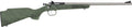 Crickett G2 .22LR Youth Sporting Rifle with Green Synthetic Stock and Stainless Finish