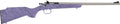 Crickett G2 22LR Sporting Rifle in Purple - Bolt Action Youth Rifle with Stainless Finish