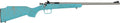 Crickett G2 22LR Sporting Rifle with Teal Synthetic Stock and Stainless Finish