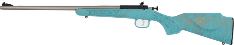 Crickett G2 22LR Sporting Rifle with Teal Synthetic Stock and Stainless Finish