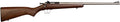 Crickett Rifle G2 22LR Sporting Rifle with Walnut Stock and Stainless Steel Finish