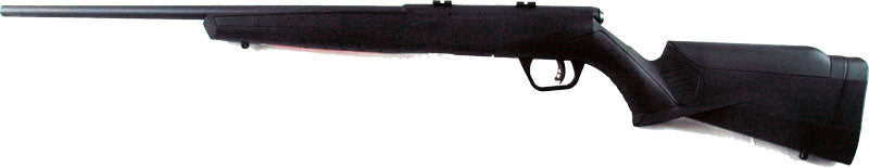 Savage B17F 17 HMR 21-Inch Sporter Rifle with Synthetic Stock and Detachable Magazine