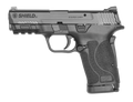 Smith & Wesson Shield EZ 30SC Micro-Compact 3.67-Inch Barrel 10-Round Semi-Auto Handgun with Two Magazines